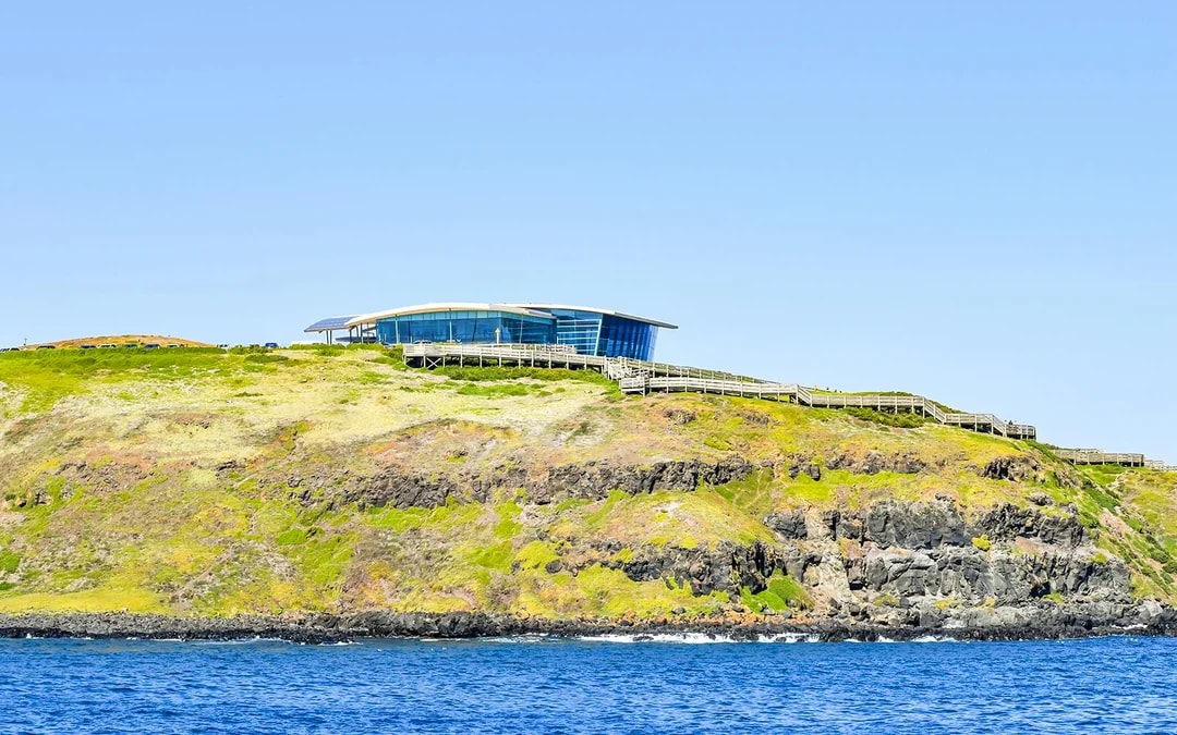 Seal Watching Afternoon Cruise at Phillip Island Image 11