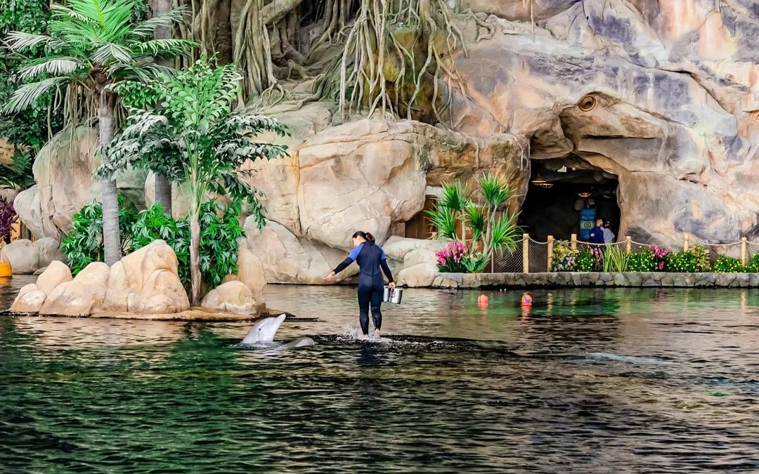 SeaWorld Abu Dhabi Quick Pass Image 1