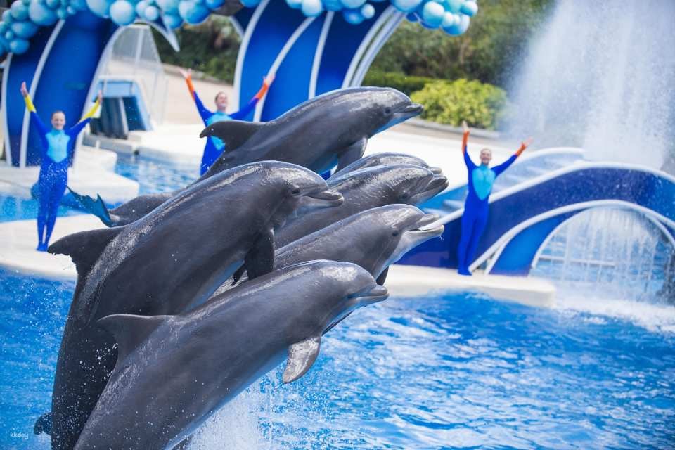SeaWorld Orlando, Aquatica Orlando, Busch Gardens Tampa Bay & Adventure Island Tampa Bay Tickets | All-Day Dining Deal