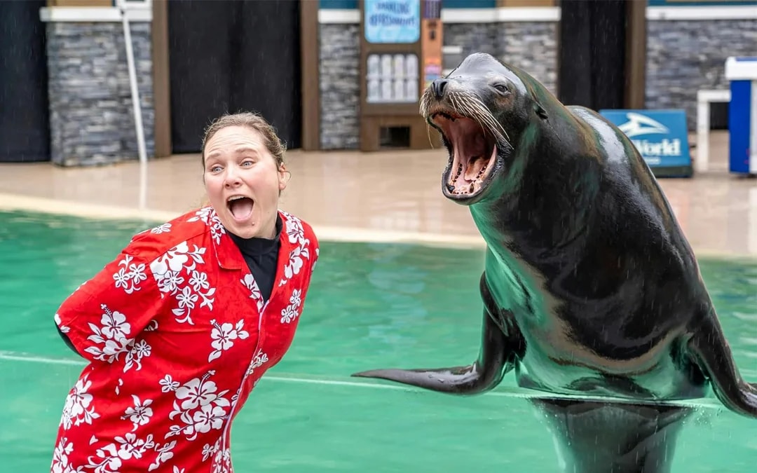 SeaWorld San Diego: Entry Tickets with All-Day Dining Add-On Image 6