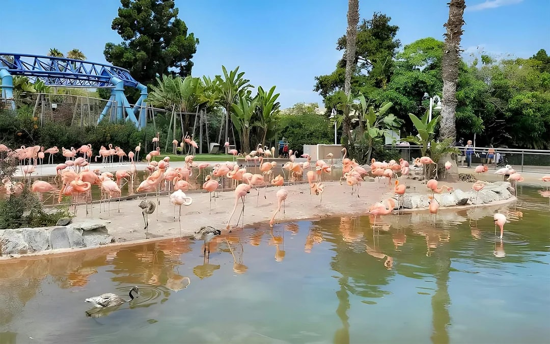 SeaWorld San Diego: Entry Tickets with All-Day Dining Add-On Image 7
