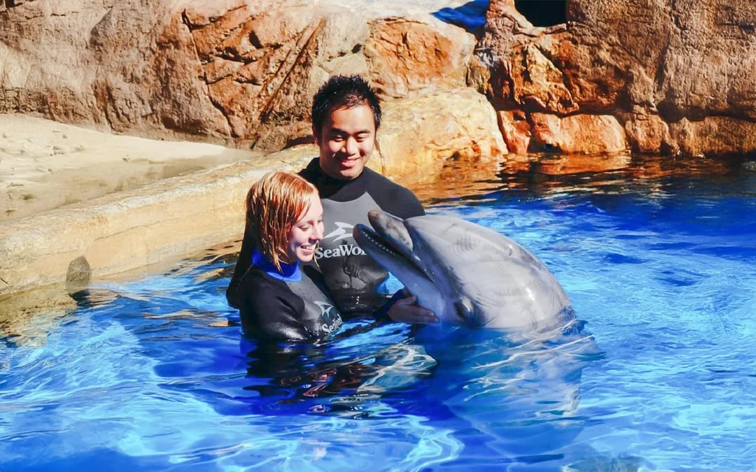 SeaWorld San Diego: Entry Tickets with All-Day Dining Add-On Image 9