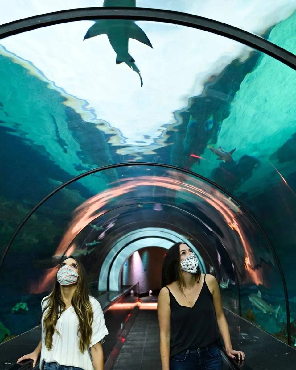 SeaWorld San Diego Ticket | California