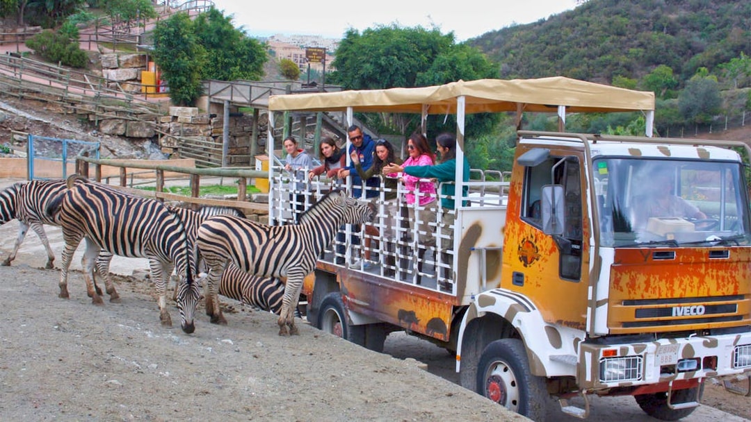 Tourists on safari truck observing zebras at Selwo Aventura, Spain.