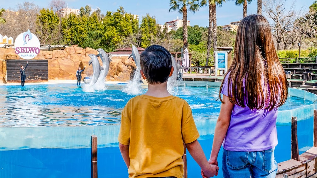 Dolphins leaping in a pool at Selwo Marina with children watching.