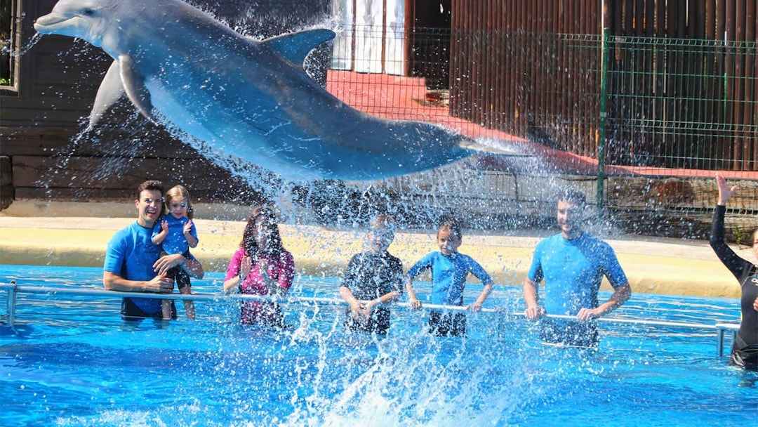 Dolphin leaping over water at Selwo Marina with visitors watching.