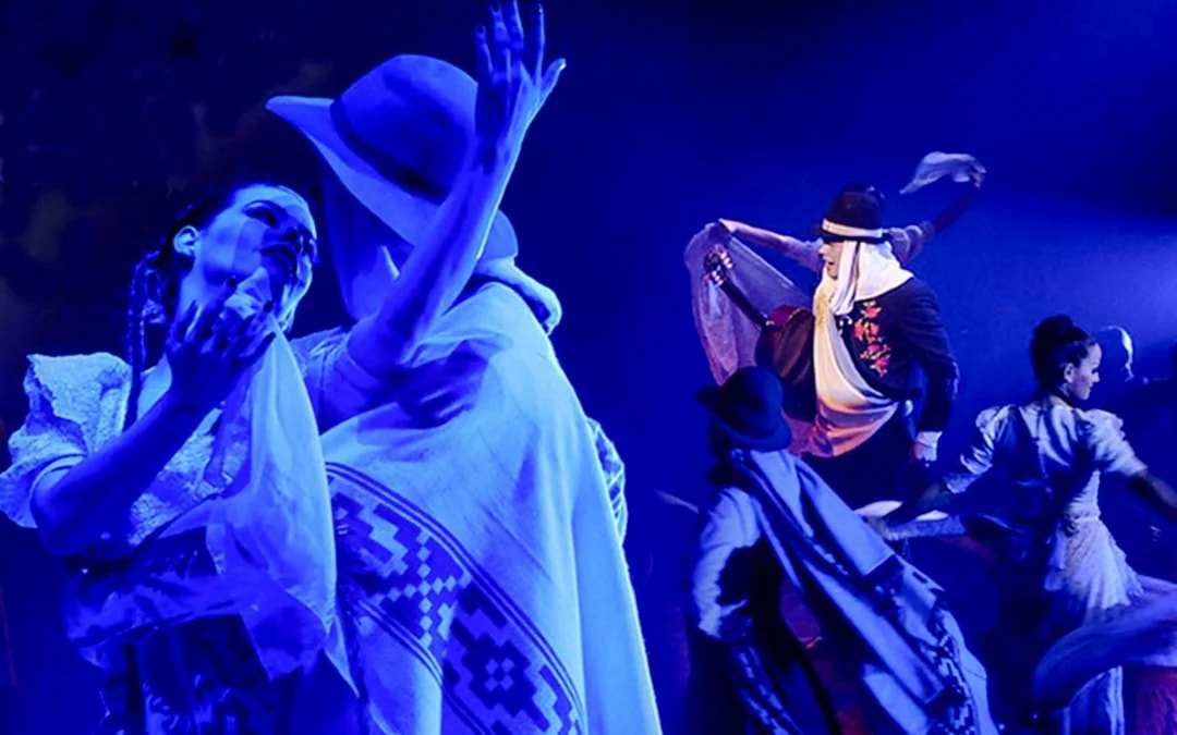 Señor Tango Show Image 9
