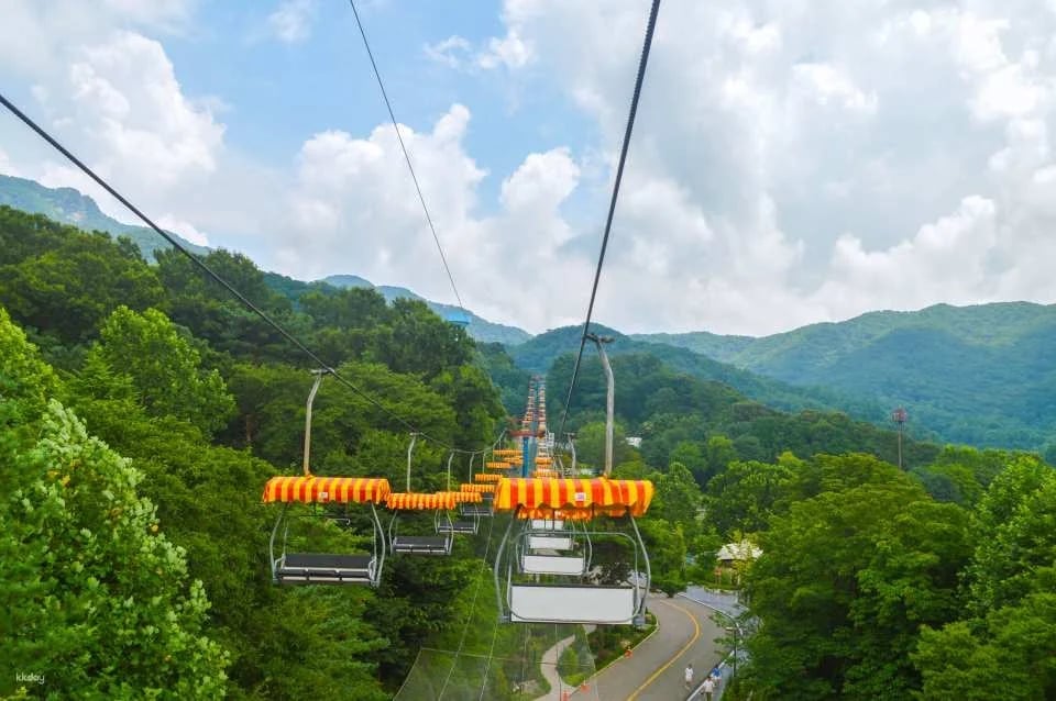 Seoul Grand Park Ticket Package | Zoo Ticket & Sky Lift