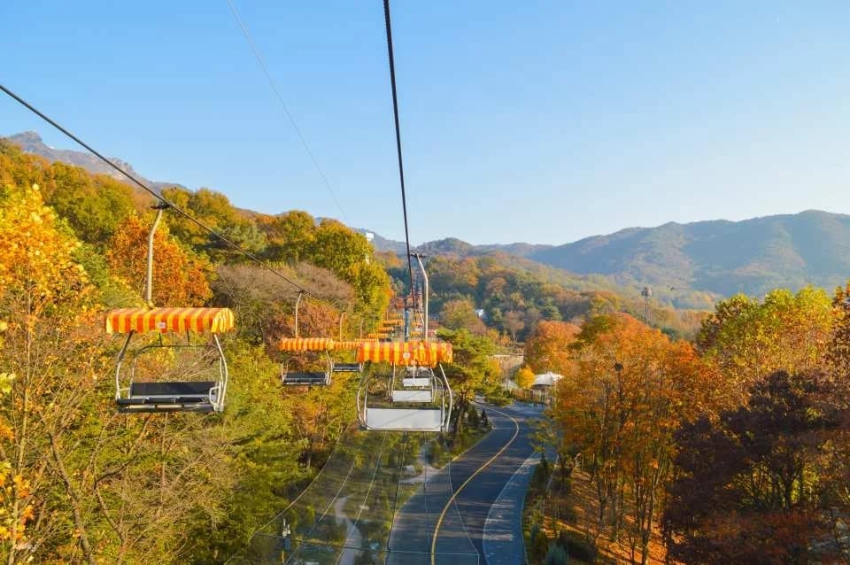 Seoul Grand Park Ticket Package | Zoo Ticket & Sky Lift
