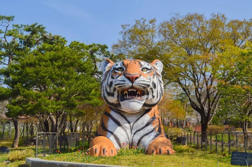 Seoul Grand Park Ticket Package | Zoo Ticket & Sky Lift