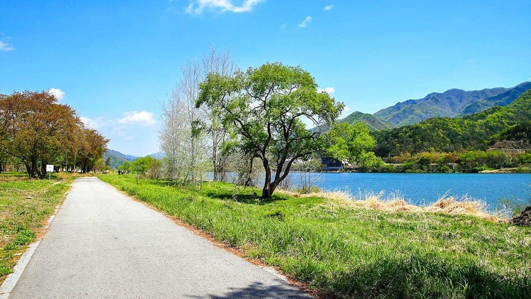 Pathway along a river with trees and mountains on Nami Island, South Korea.
