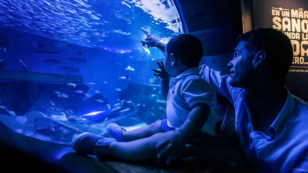 Father and child observing fish at Seville Aquarium.