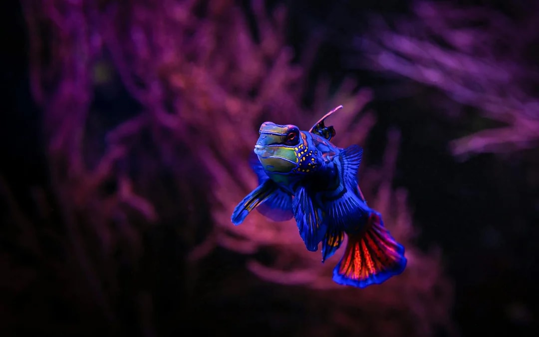 Seville Aquarium Tickets Image 5
