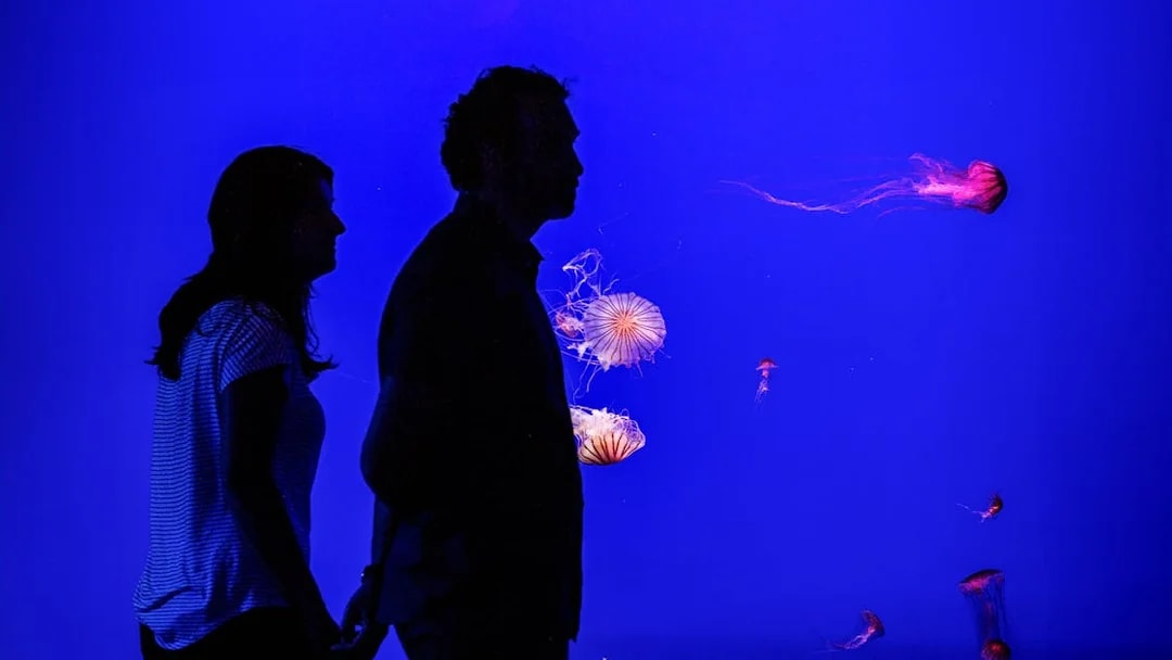 Visitors observing jellyfish at Seville Aquarium.