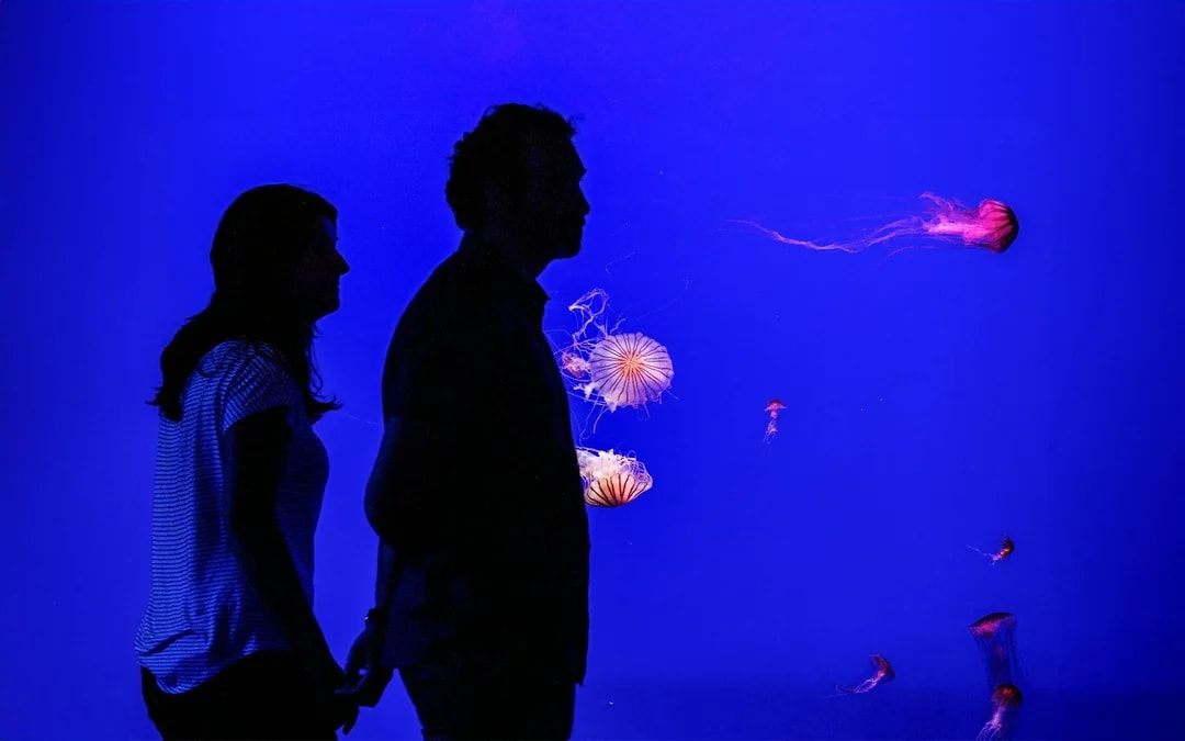 Seville Aquarium Tickets Image 8