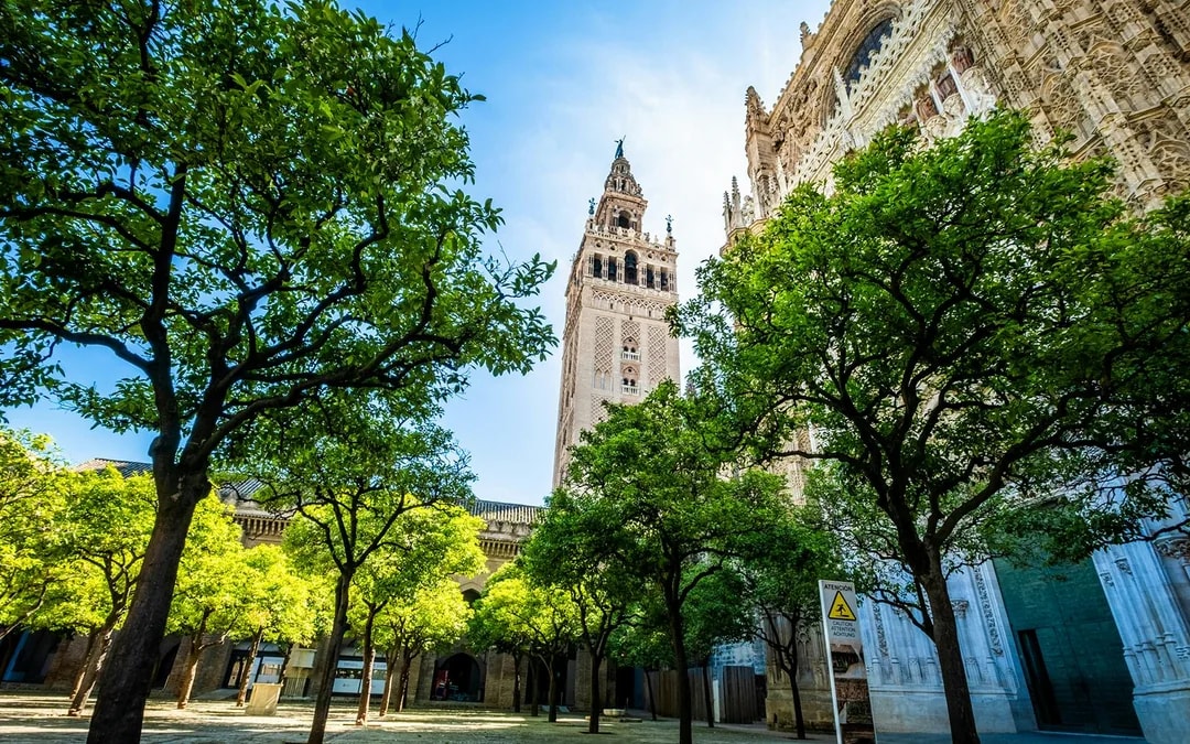 Seville Cathedral & La Giralda Priority Access Guided Tour  Image 3