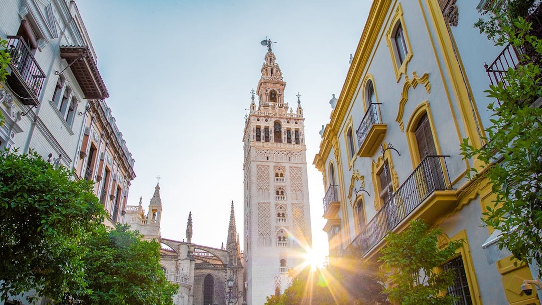 Seville Cathedral and Giralda tower with sunlight, viewed from a nearby street.