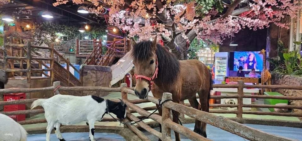 Shenzhen, China|Ye En Animal Park Tickets (Longgang Wanda Plaza Store)