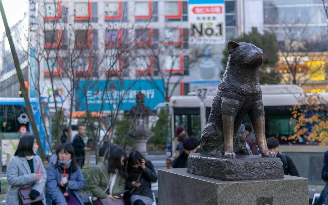 Shibuya Sky Tickets & Guided Walking Tour Image 6
