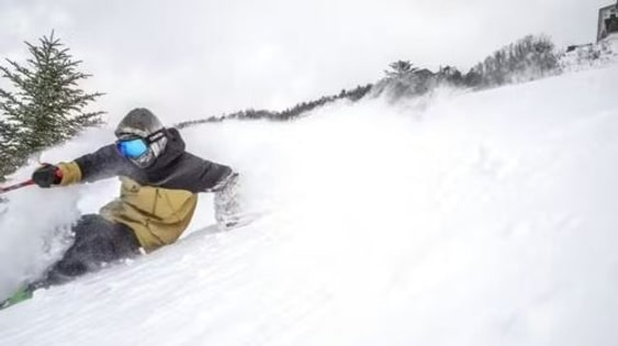 Shiga Kogen Mountain Resort 18-Ski Area Pass Early Bird Ticket experience image 3