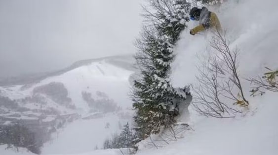 Shiga Kogen Mountain Resort 18-Ski Area Pass Early Bird Ticket