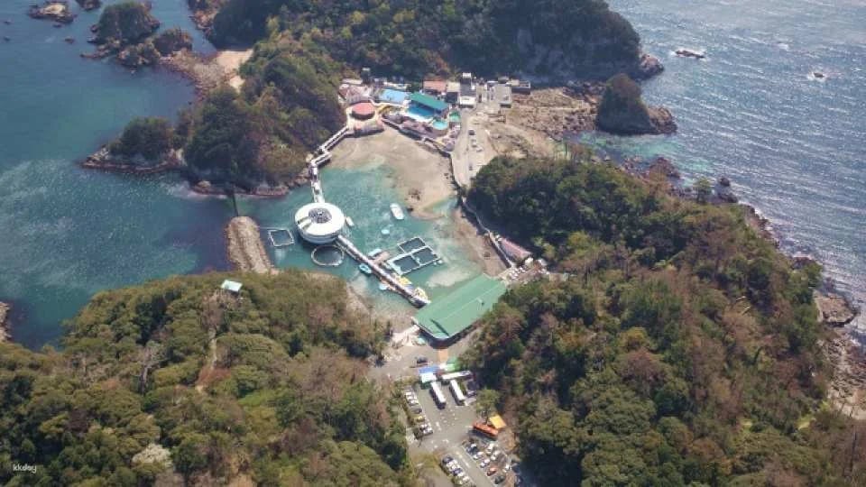 Shimoda Aquarium Admission Ticket｜Shizuoka, Japan