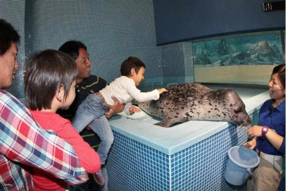 Shimoda Aquarium Admission Ticket｜Shizuoka, Japan
