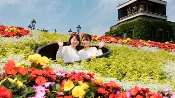 Shiroi Koibito Park
