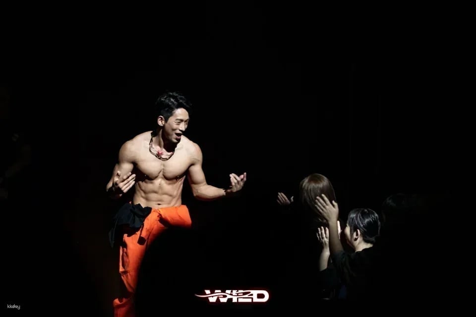 SHOWMUSICAL [ Wild Wild ] Male Strip Show Tickets (Female Guests Only) | Seoul, South Korea