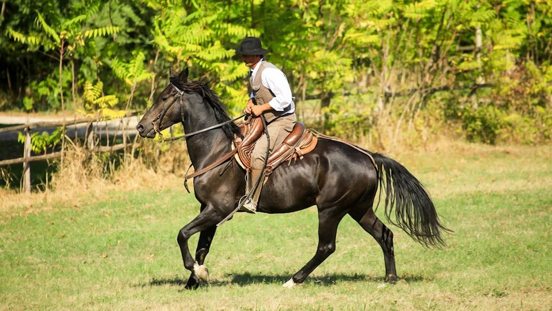 Horseback rider in countryside near Siena.