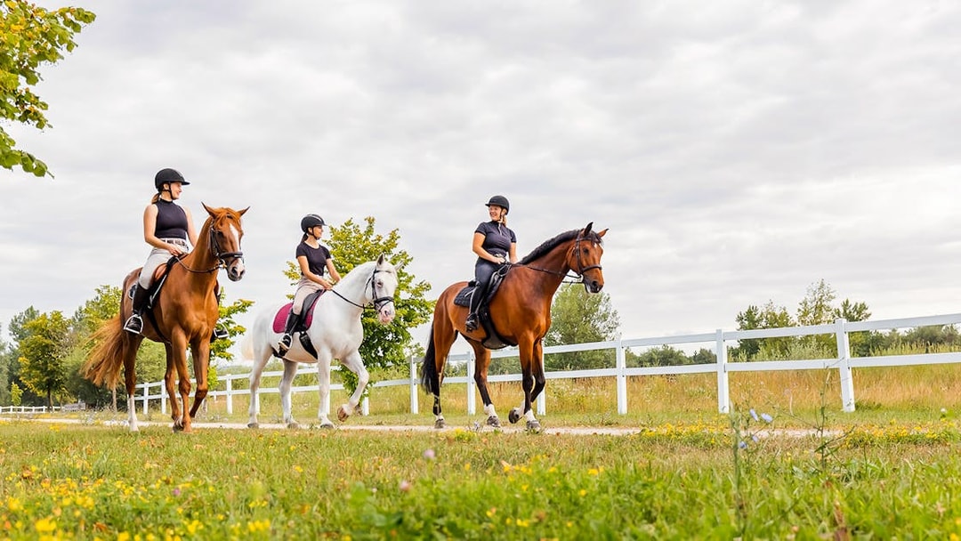 Horseback riders on a scenic trail near Siena, Italy.