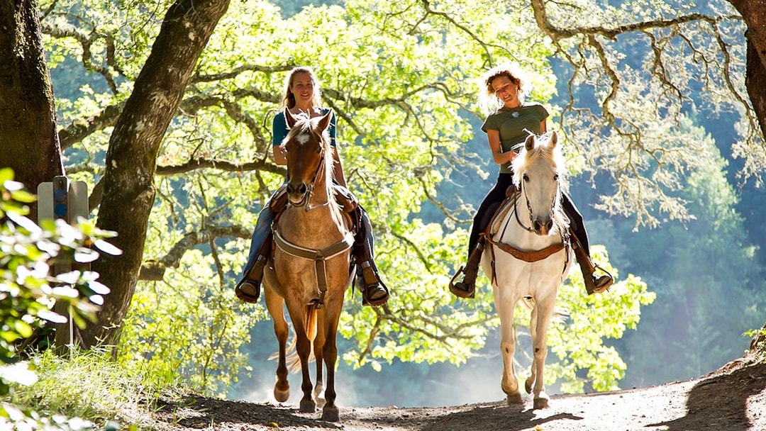 Horseback riders on a forest trail near Siena, Italy.