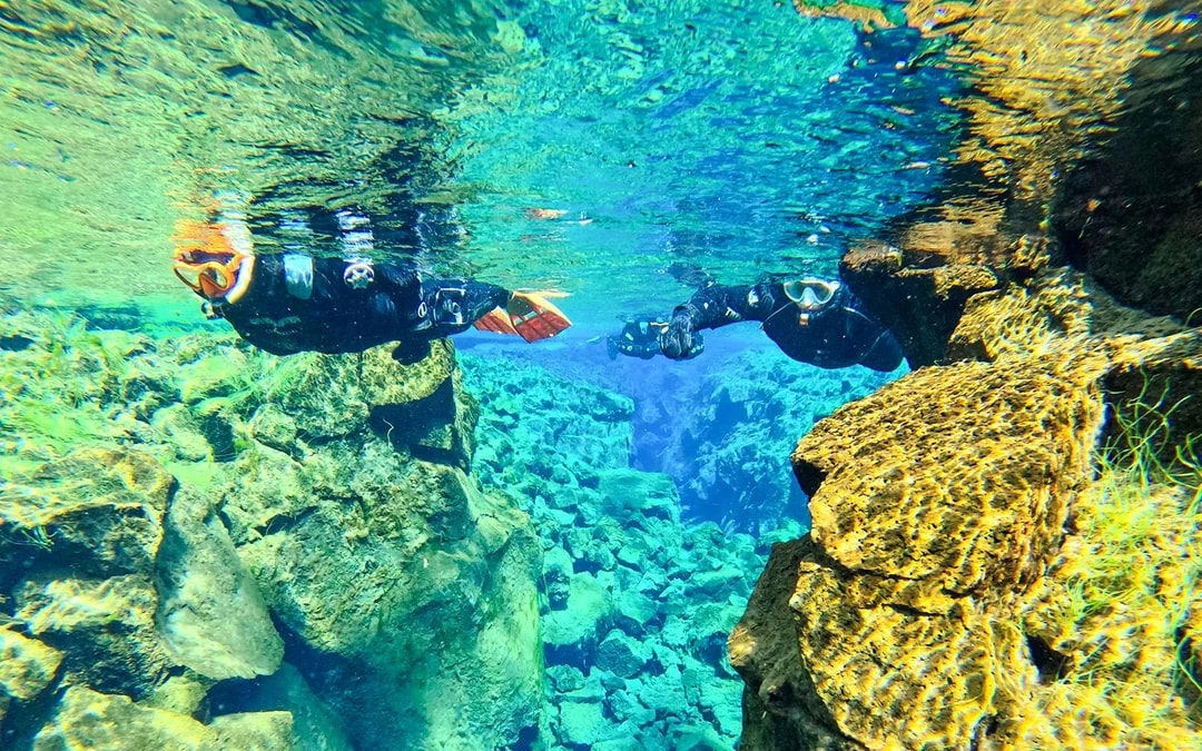 Silfra: Silfra Fissure Snorkeling between Two Continents with Photos Image 8