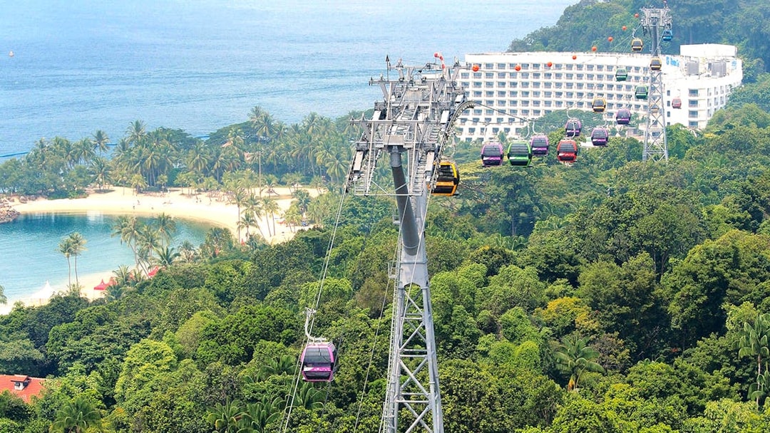 Aerial view of Singapore cityscape from cable car, featuring lush greenery and coastal scenery.