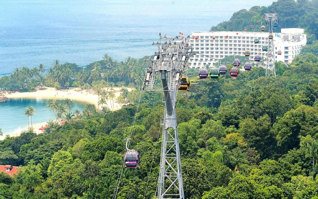Singapore Cable Car SkyPass with Meals at Arbora Cafe
Image 9