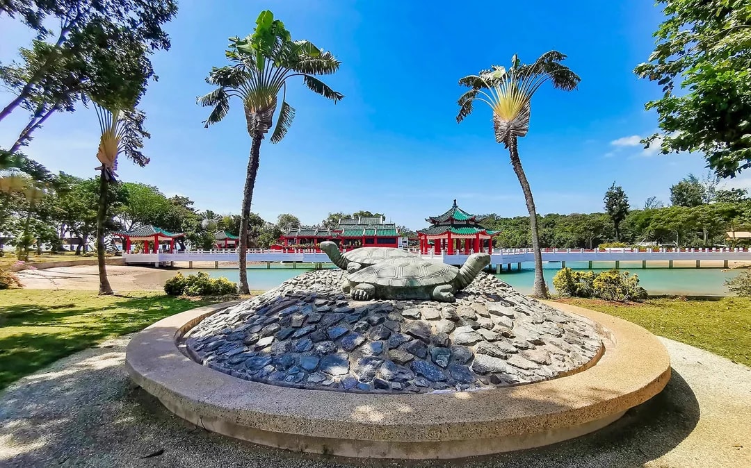 Singapore Ferry to Kusu Island and St John's Island Image 6