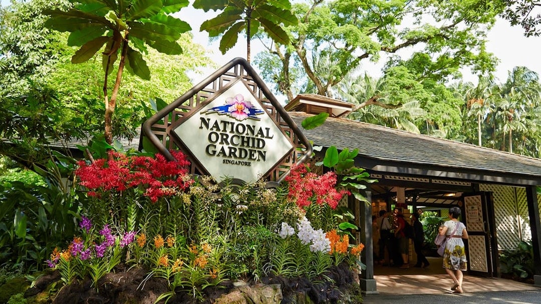 Singapore National Orchid Garden Tickets