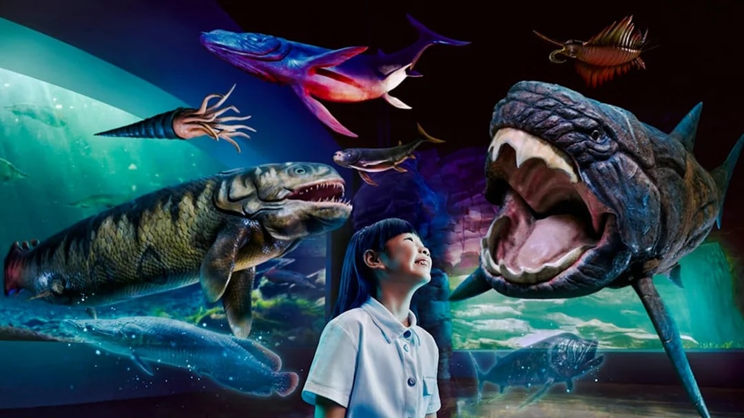 Visitors observing prehistoric sea creatures at Singapore Oceanarium.