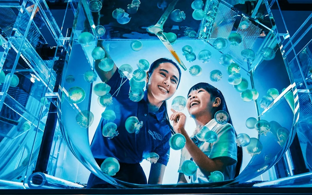 Singapore Oceanarium Dive Programs with Adventure Cove Waterpark Entry Image 7