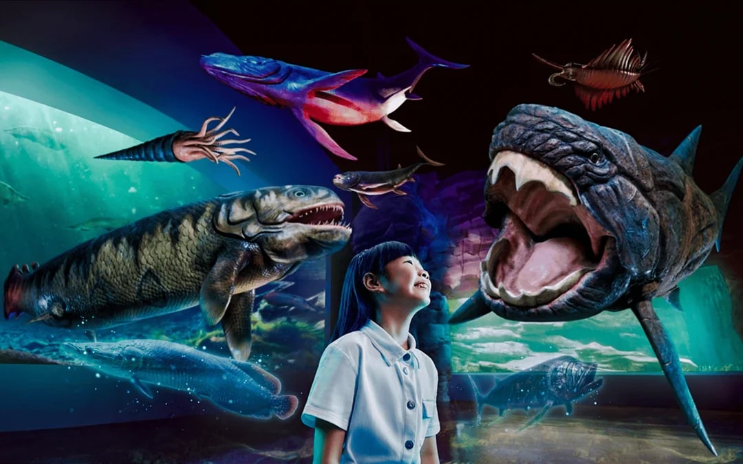 Singapore Oceanarium Dive Programs with Adventure Cove Waterpark Entry Image 8