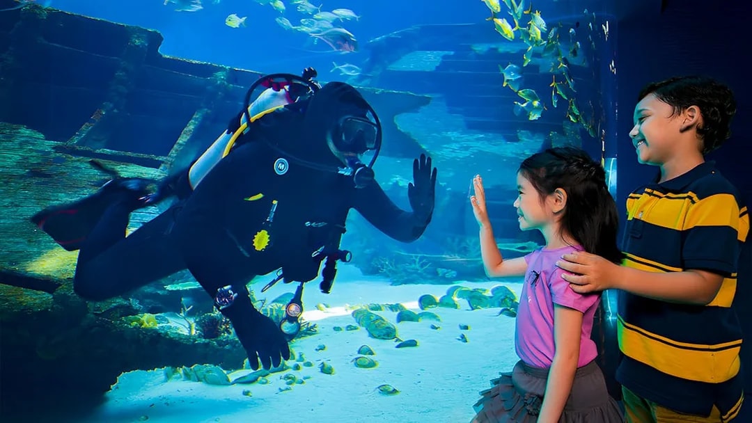 Diver interacting with children through glass at S.E.A Aquarium Singapore.
