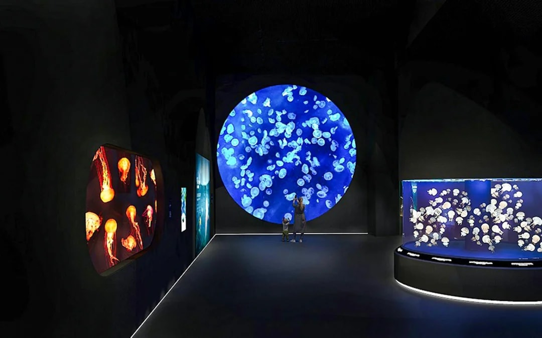 Singapore Oceanarium Insider VIP Experience Image 6