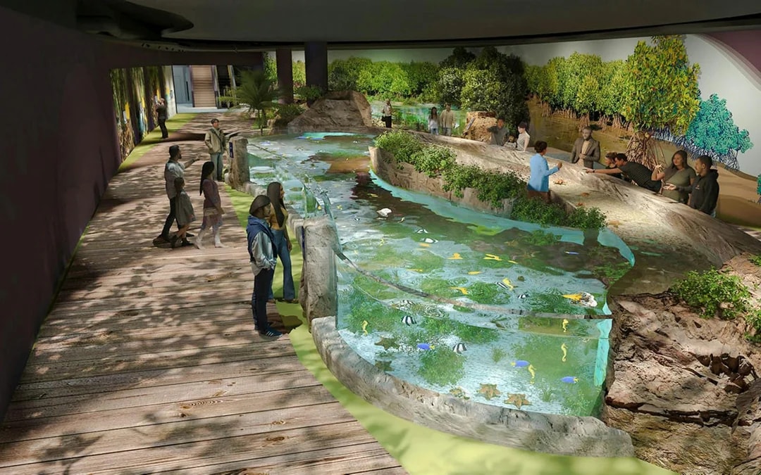 Singapore Oceanarium Insider VIP Experience Image 9