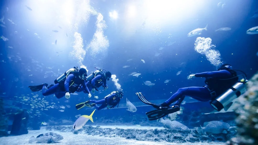 Divers exploring underwater at Singapore Oceanarium.