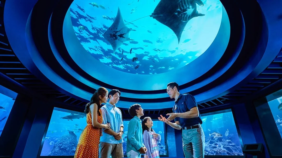 Family observing marine life under dome at Open Ocean Habitat, S.E.A. Aquarium Singapore.