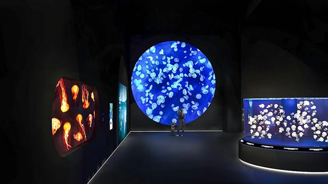 Jellyfish display at Singapore Oceanarium with visitors observing.
