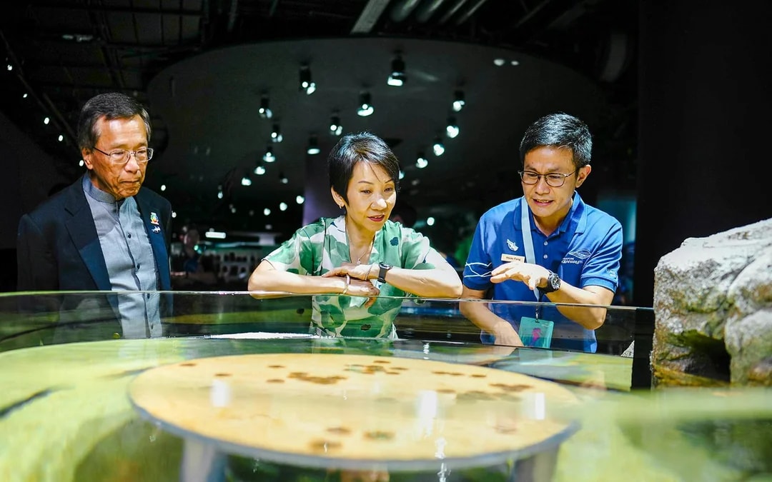 Singapore Oceanarium Insider VIP Experience Image 3