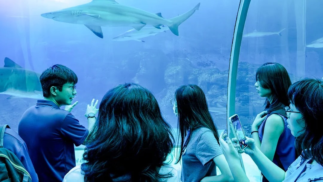 Guide explaining marine life to tourists at Singapore Oceanarium.