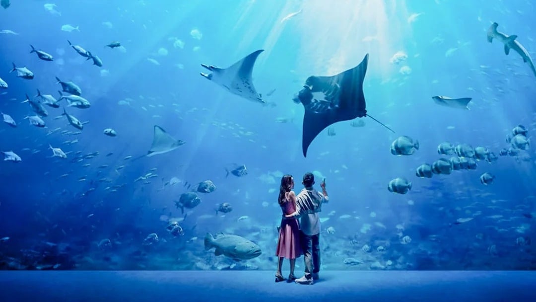Singapore Oceanarium Insider VIP Experience