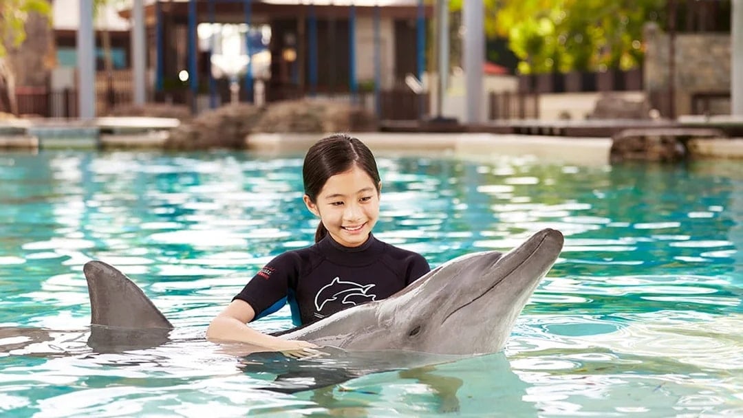 Singapore Oceanarium Tickets with Dolphin Moments